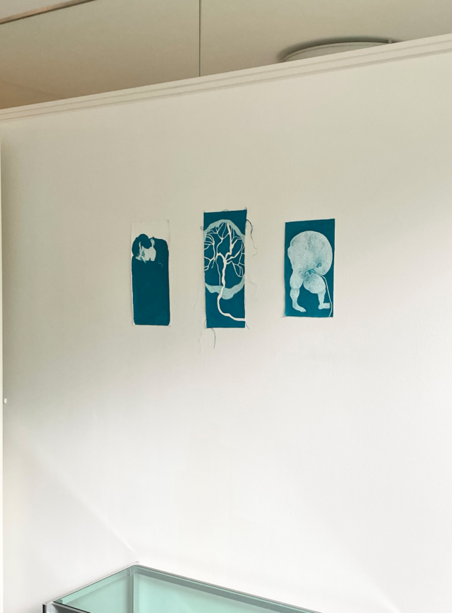 Anjesa Dellova, Chutes