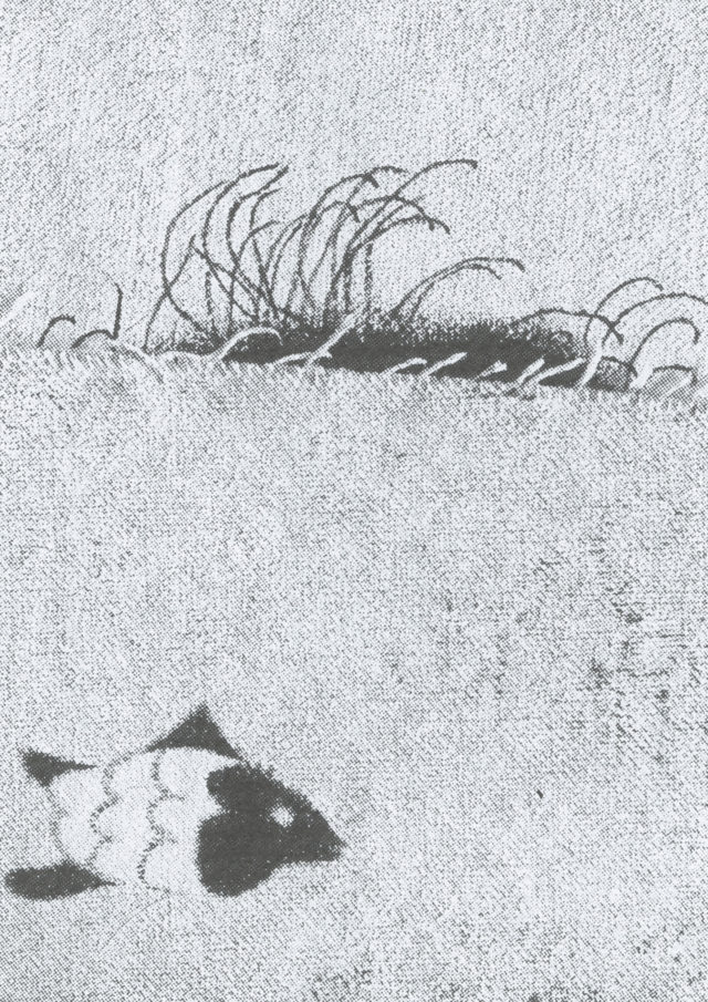 Anjesa Dellova, Chutes