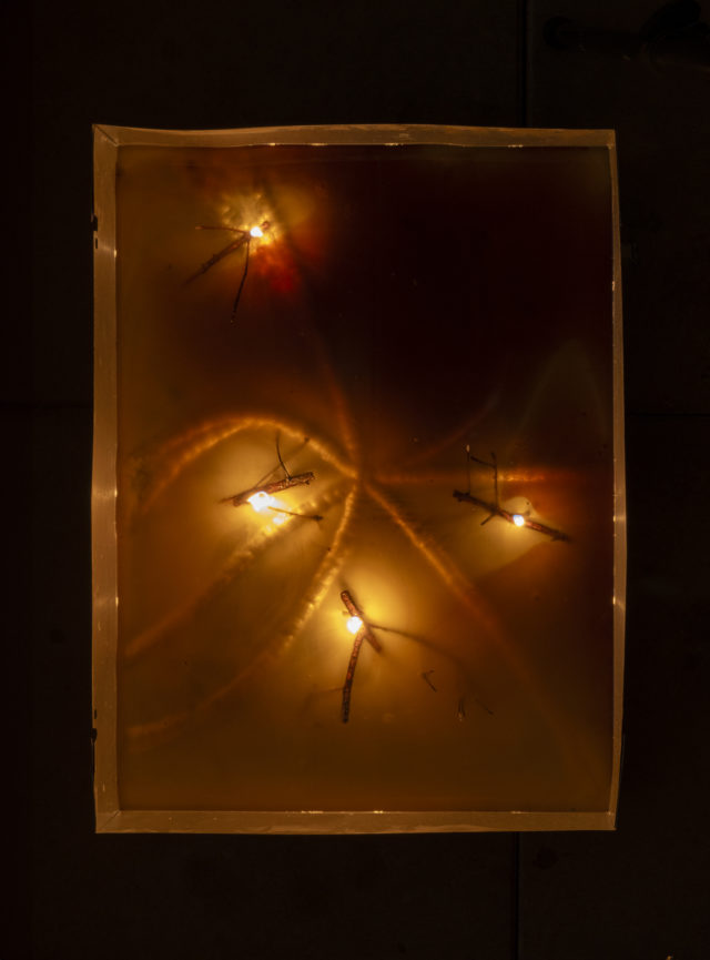 Sophie Ballmer et Tarik Hayward, After Dark